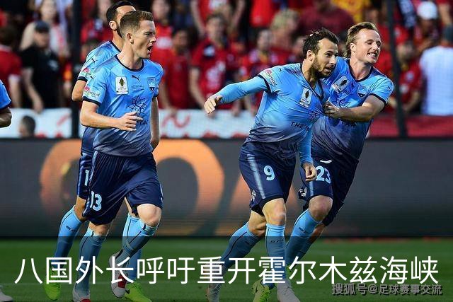 八国外长呼吁重开霍尔木兹海峡
