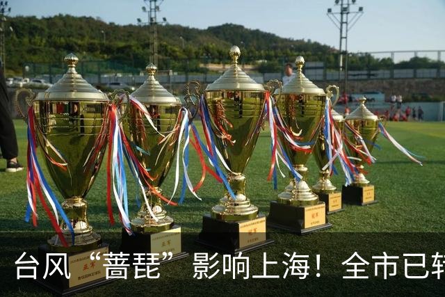 台风“蔷琵”影响上海！全市已转移安置6.24万人