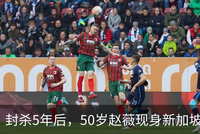 封杀5年后，50岁赵薇现身新加坡，原来她已找到一条"新退路"