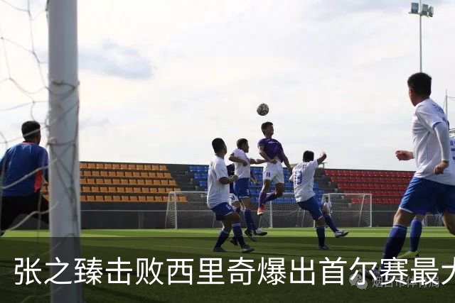 张之臻击败西里奇爆出首尔赛最大冷门，德约披露出战巴塞尔原因