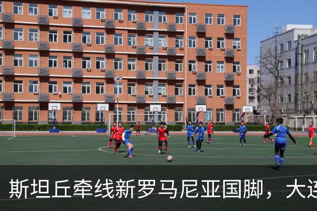 斯坦丘牵线新罗马尼亚国脚，大连英博的外援老路又要重演