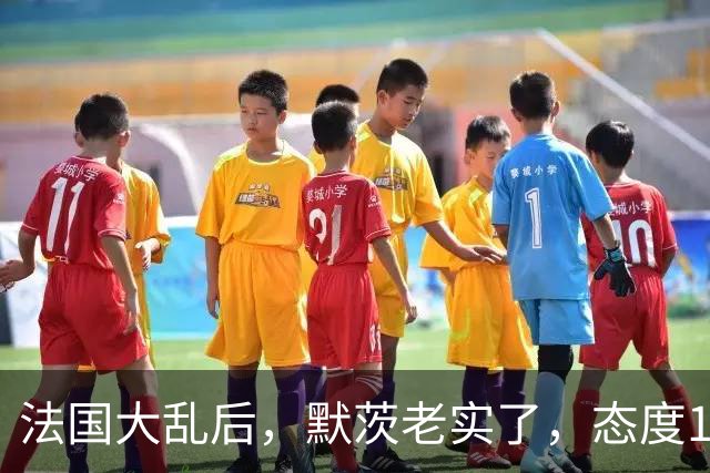 法国大乱后，默茨老实了，态度180度转弯：愿意好好和中国相处