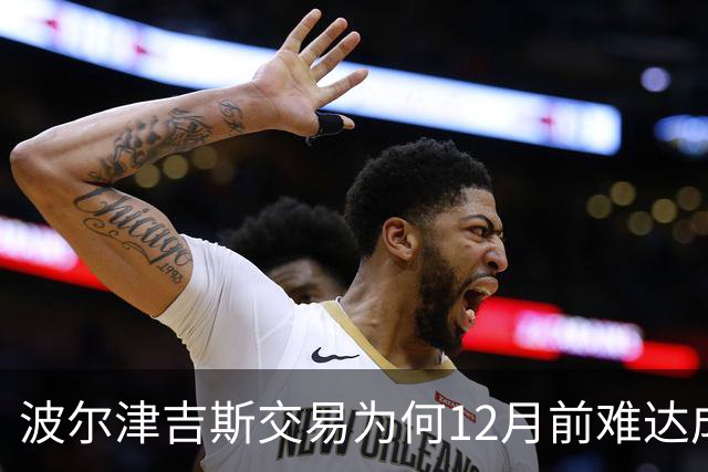 波尔津吉斯交易为何12月前难达成？美记点出两大障碍