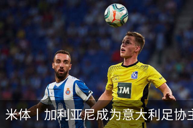 米体丨加利亚尼成为意大利足协主席热门人选