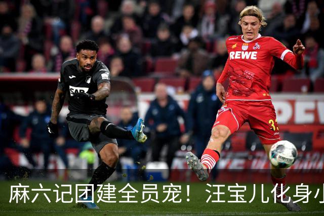 麻六记团建全员宠！汪宝儿化身小团宠，对着镜头卖萌太治愈